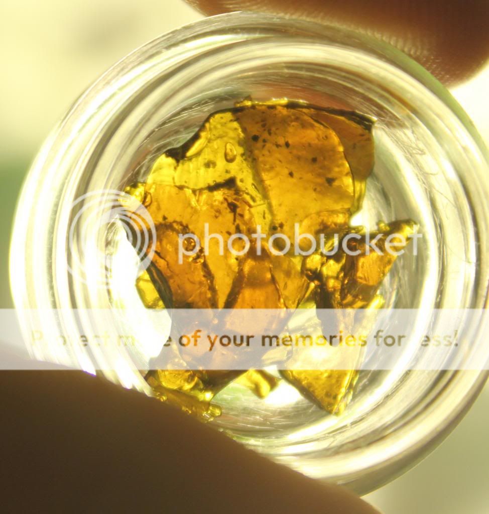 Show your Hash/Oil! - - | Page 290 | Grasscity Forums - The #1 ...