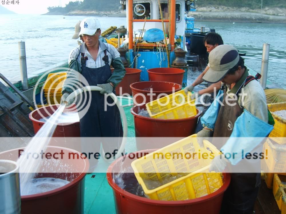 Photobucket Pictures, Images and Photos